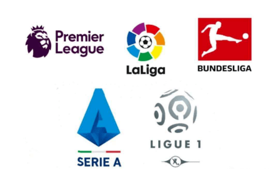 的一项长期 的一项长期