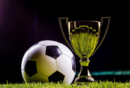 当地生活体 当地生活体