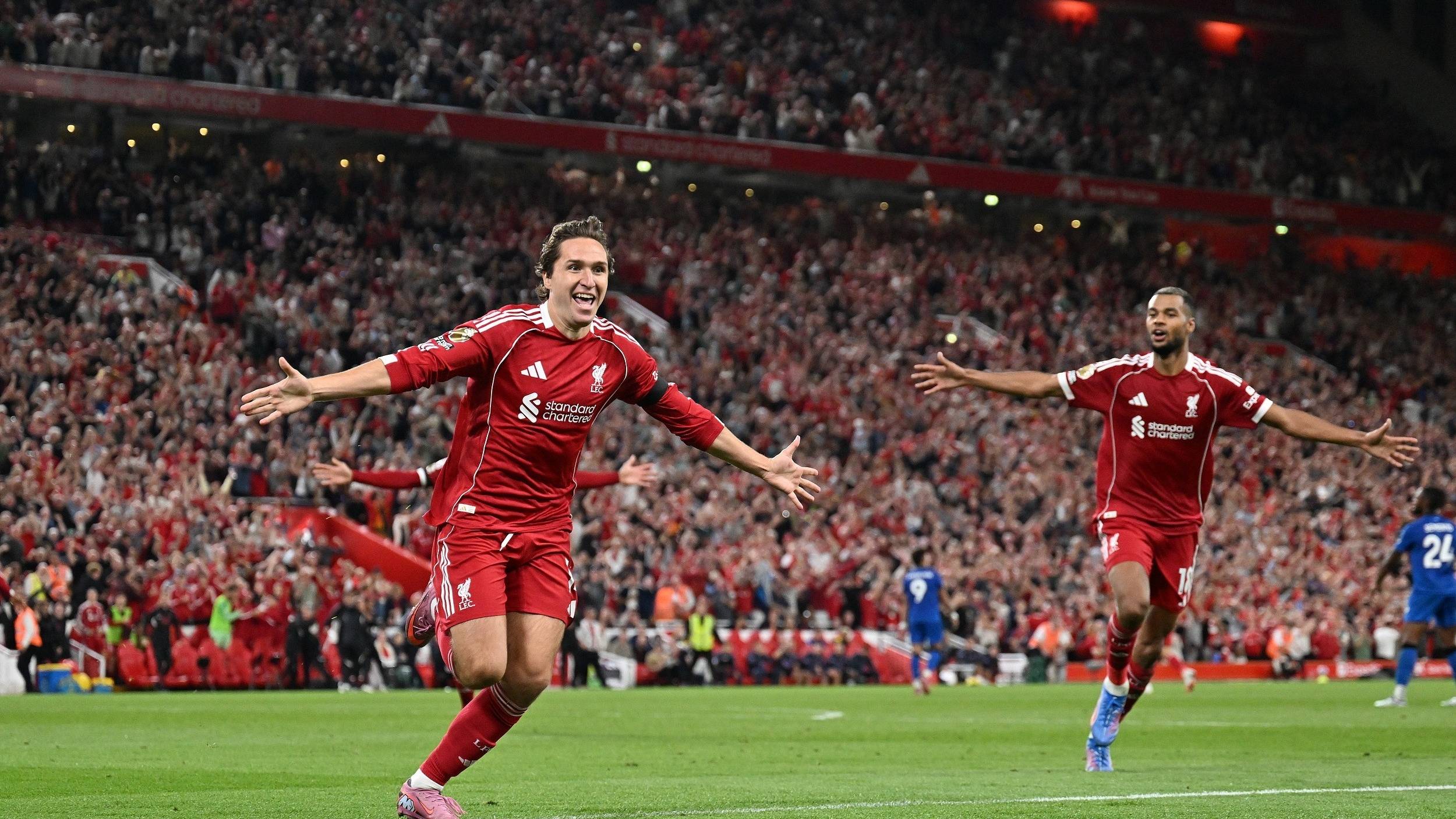 不到的惊喜 不到的惊喜